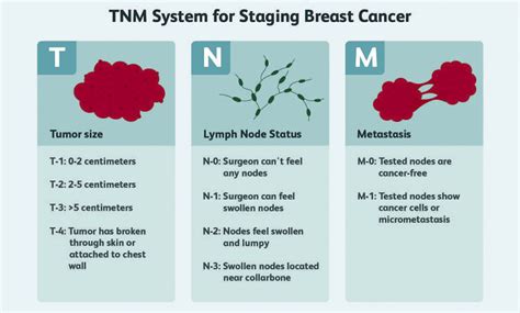 Understanding the Unique Nature of Cancer