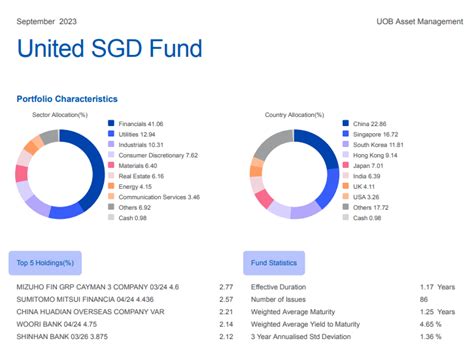 Understanding the United SGD Fund