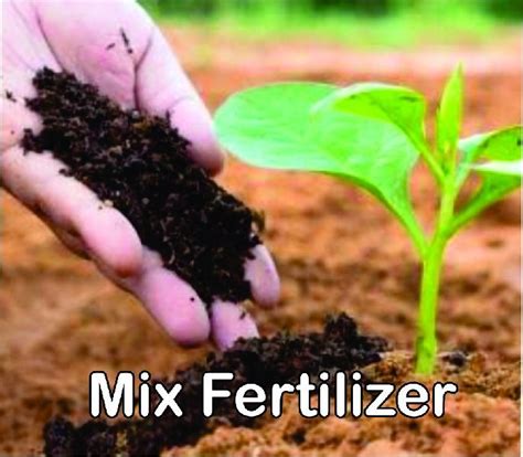 Understanding the Value of Mixed Fertilizers