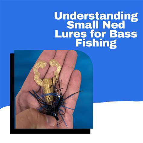 Understanding the World of Large and Small O-Rings: A Comprehensive Guide