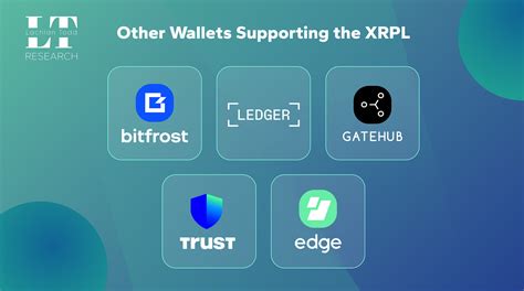 Understanding the XRPL Wallet