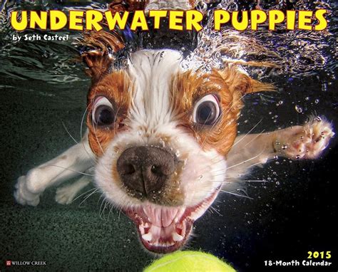 Underwater Dogs 2015 Engagement Calendar PDF