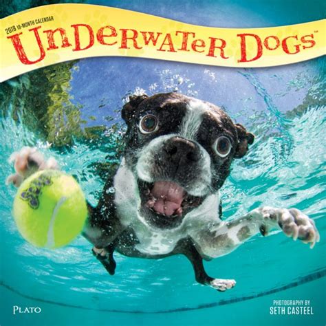 Underwater Dogs 2017 Wall Calendar PDF