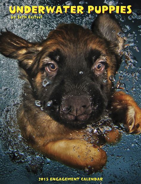 Underwater Puppies 2015 Engagement Calendar Kindle Editon