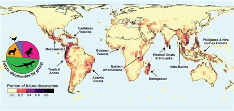 Undiscovered CarNIVORes: