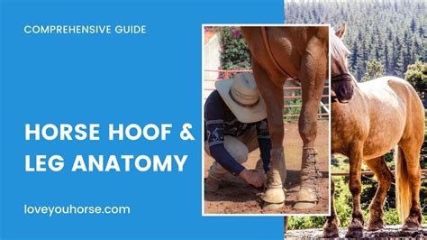 Unearthing the Enigma of Maloof Hoof: A Comprehensive Guide