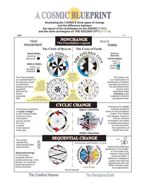 Unfold the Cosmic Blueprint