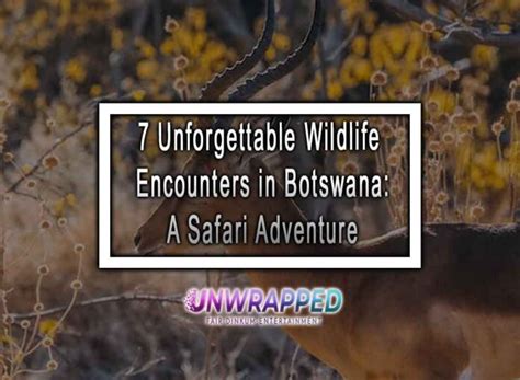 Unforgettable Wildlife Encounters