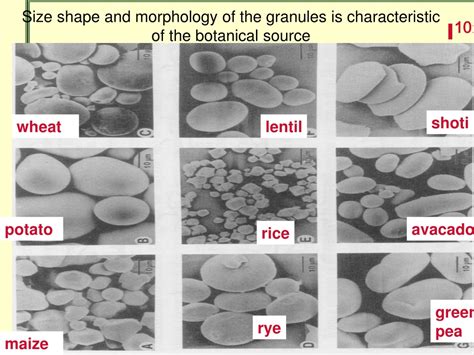 Uniform Granule Size and Shape: