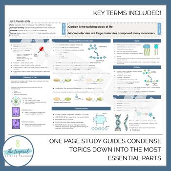 Unit 1 AP Biology Review Quizlet