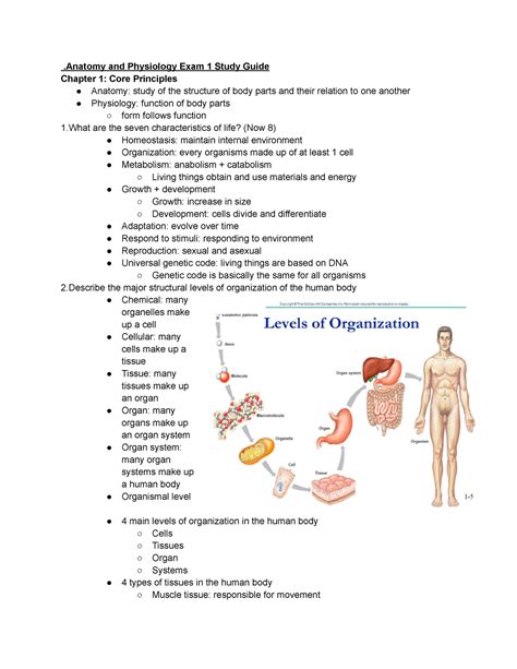 Unit 1 Anatomy Study Guide