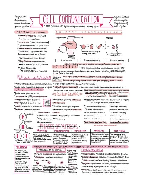 Unit 4 Biology Review Answer Kindle Editon