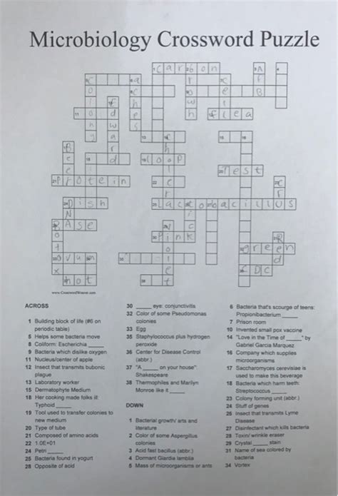 Unit C Micro Life Crossword Puzzle Answers Epub