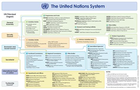 United Nations Organizational Chart
