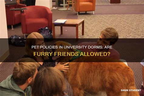 Universities That Allow Pets: A Haven for Students and Their Furry Friends