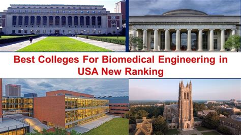 University Rankings for Biomedical Engineering