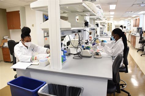 University of Pennsylvania Post-Baccalaureate Program: Embark on a New Academic Journey