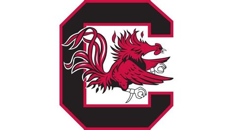 University of South Carolina Mailing Address: Your Comprehensive Guide