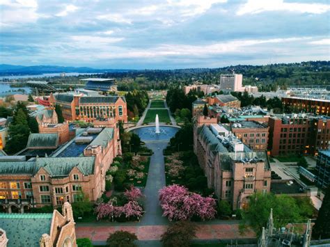University of Washington Pre-Med: A Comprehensive Guide