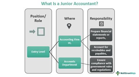 Unleash Your Accounting Potential: A Comprehensive Guide to Junior Accountant Duties