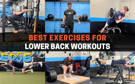 Unleash Your Back's Potential: The Comprehensive Guide to Lower Back Workouts at the Gym