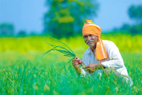 Unleash Your Farm's Potential with Krishi Mitra: Your All-in-One Ag Buddy