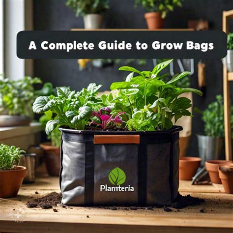 Unleash Your Green Thumb: The Ultimate Guide to Buying Grow Bags Online