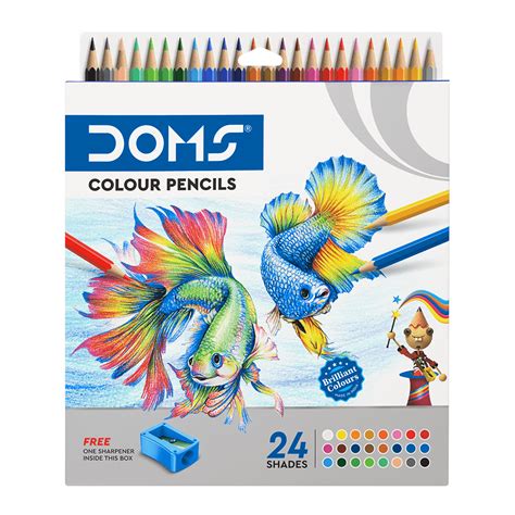 Unleash Your Inner Artist: The Allure of Doms Colour Pencils