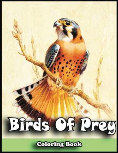 Unleash Your Inner Bird of Prey