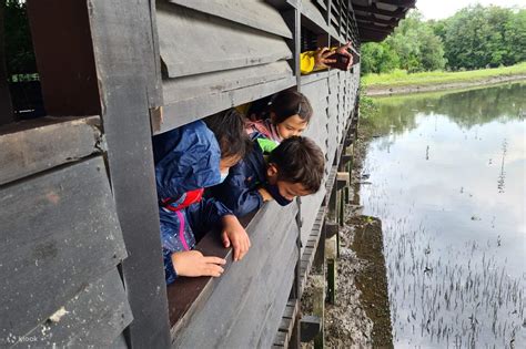 Unleash Your Inner Explorer: A Comprehensive Guide to Outdoor Schools in Singapore