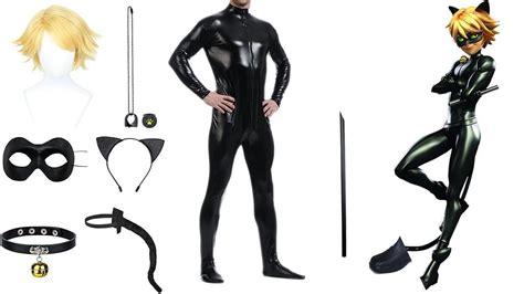 Unleash Your Inner Feline: A Comprehensive Guide to Cat Noir Costume for Adults