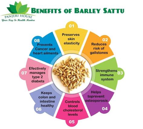 Unleash Your Inner Powerhouse: The Rise of Barley Sattu in Your Daily Routine