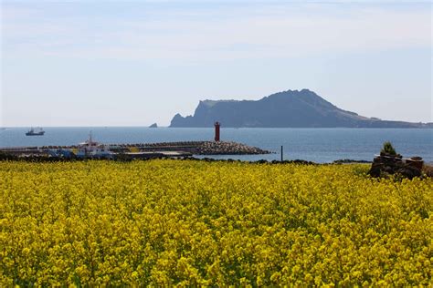 Unleash Your Shopping Spree: A Guide to Jeju City's Retail Paradise