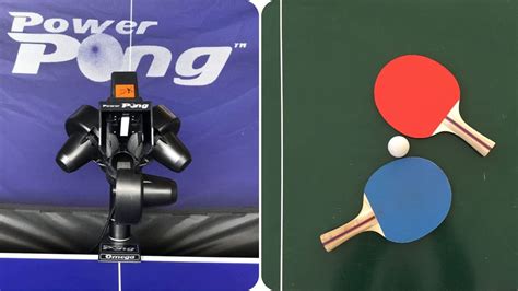 Unleash Your Table Tennis Potential: A Comprehensive Guide to Singapore's Top Courses