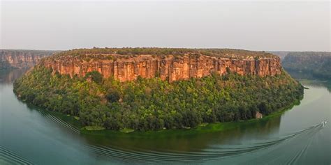 Unleash Your Wild Side: An Unforgettable Chambal Safari Adventure