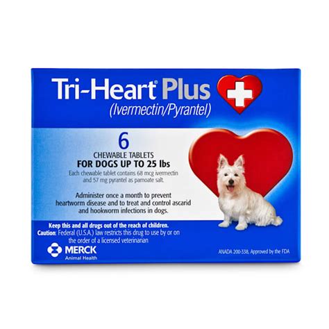 Unleash a Parasite-Free Pup: The Ultimate Guide to Flea and Heartworm Medicine for Dogs