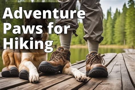 Unleash the Adventure: Backpacks for Dogs, the Ultimate Guide