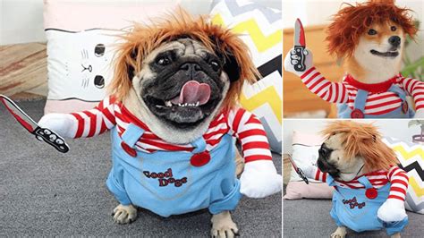 Unleash the Canine Horror: A Comprehensive Guide to Dog Chucky Costumes