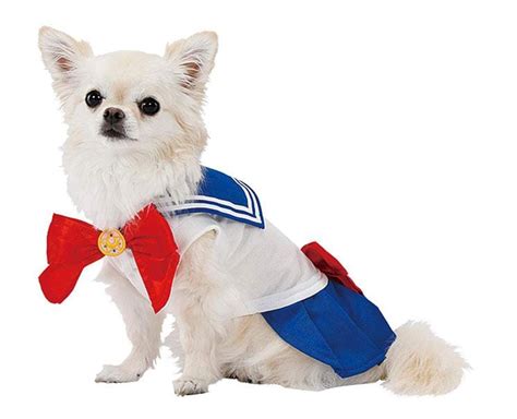 Unleash the Cosmic Power: A Journey into the Enchanting World of Sailor Moon Dog Costumes