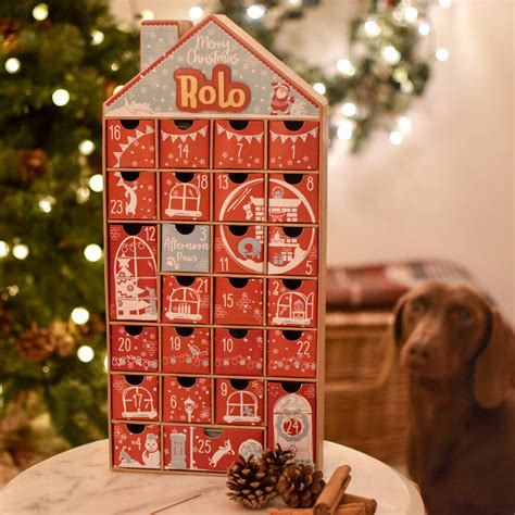 Unleash the Festive Spirit: A Comprehensive Guide to Dog Advent Calendars