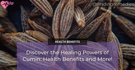 Unleash the Healing Power of Cumin: A Comprehensive Guide to Its Medicinal Properties