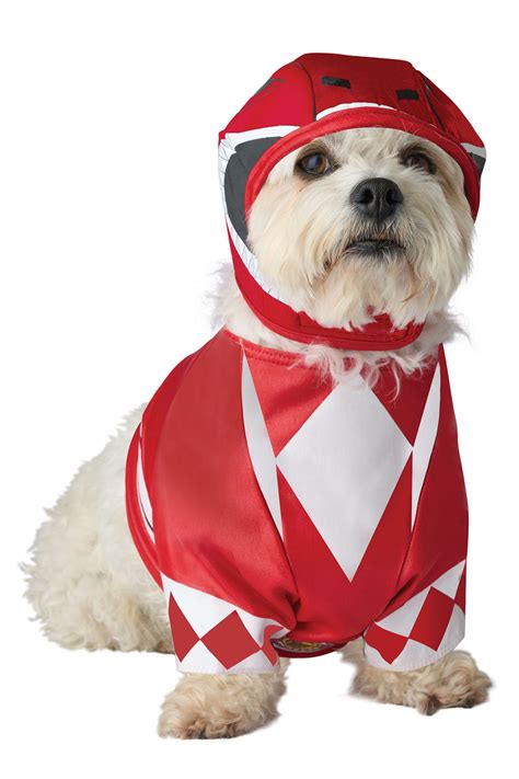 Unleash the Hero Within: A Guide to Empowering Young Minds with Power Ranger Dog Costumes