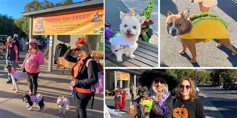 Unleash the Howl-O-Ween Spirit: Big Dog Halloween Costume Extravaganza