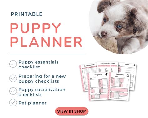 Unleash the Joy: The Ultimate Guide to Bringing Home Your Perfect Cucciolo (Puppy)!