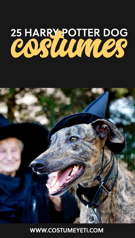 Unleash the Magic: Crafting the Perfect Harry Potter Dog Costume