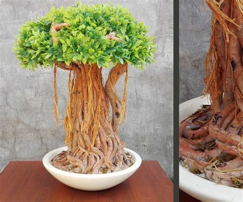 Unleash the Majesty of a Banyan Bonsai in Your Home