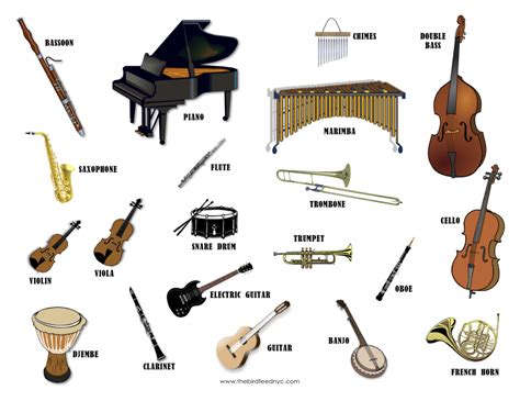 Unleash the Music Magic: Must-Have Instruments Starting with M