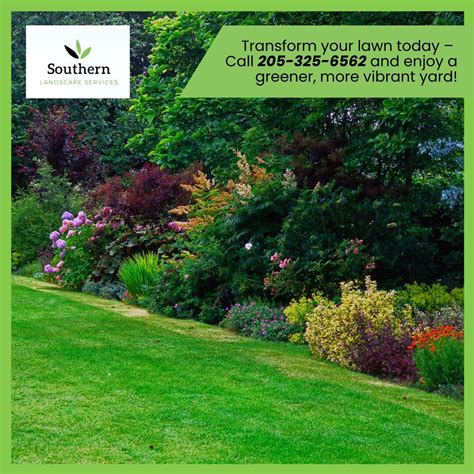 Unleash the Potential of Your Lawn with a 5-in-1 Approach