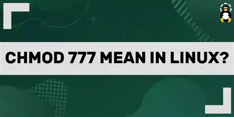 Unleash the Power (or Peril) with chmod 777 on Your Linux Files: A Business Guide