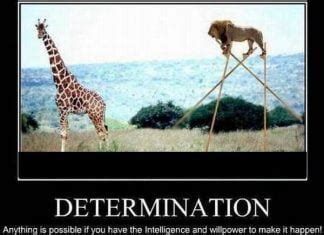 Unleash the Power of Determination Memes: Boost Engagement and Achieve Viral Success